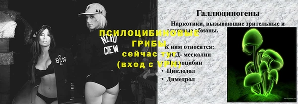 прущий лед Горняк